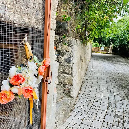 Nonnannita * Frascara