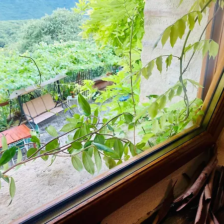 Vakantiehuis Nonnannita *